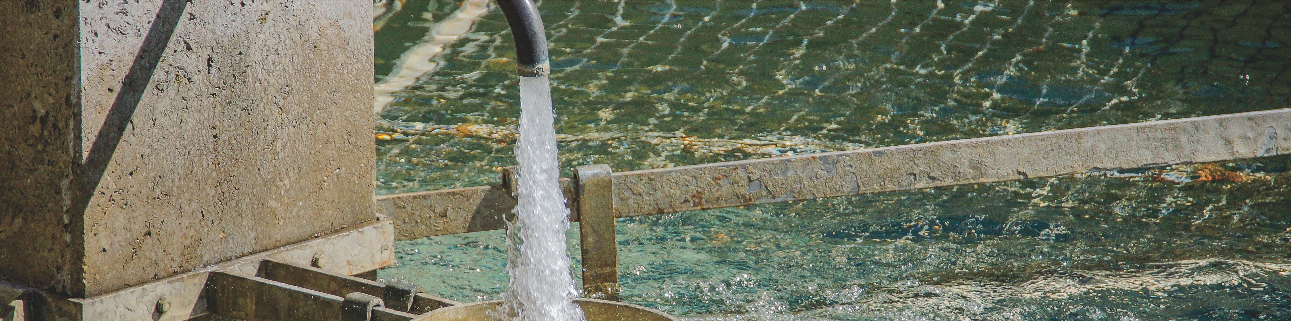 �й���������