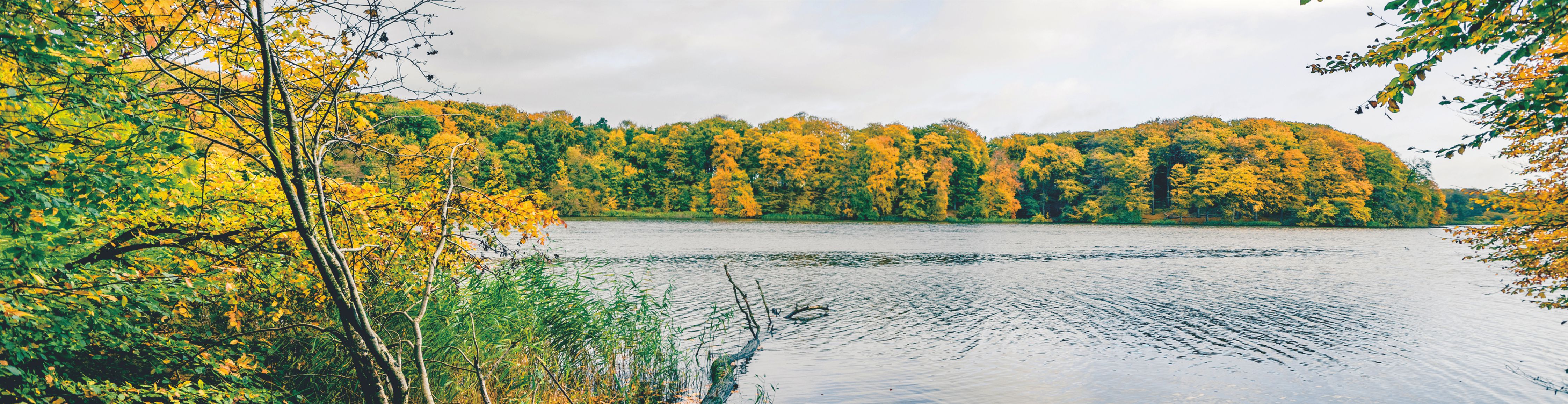 �й���������